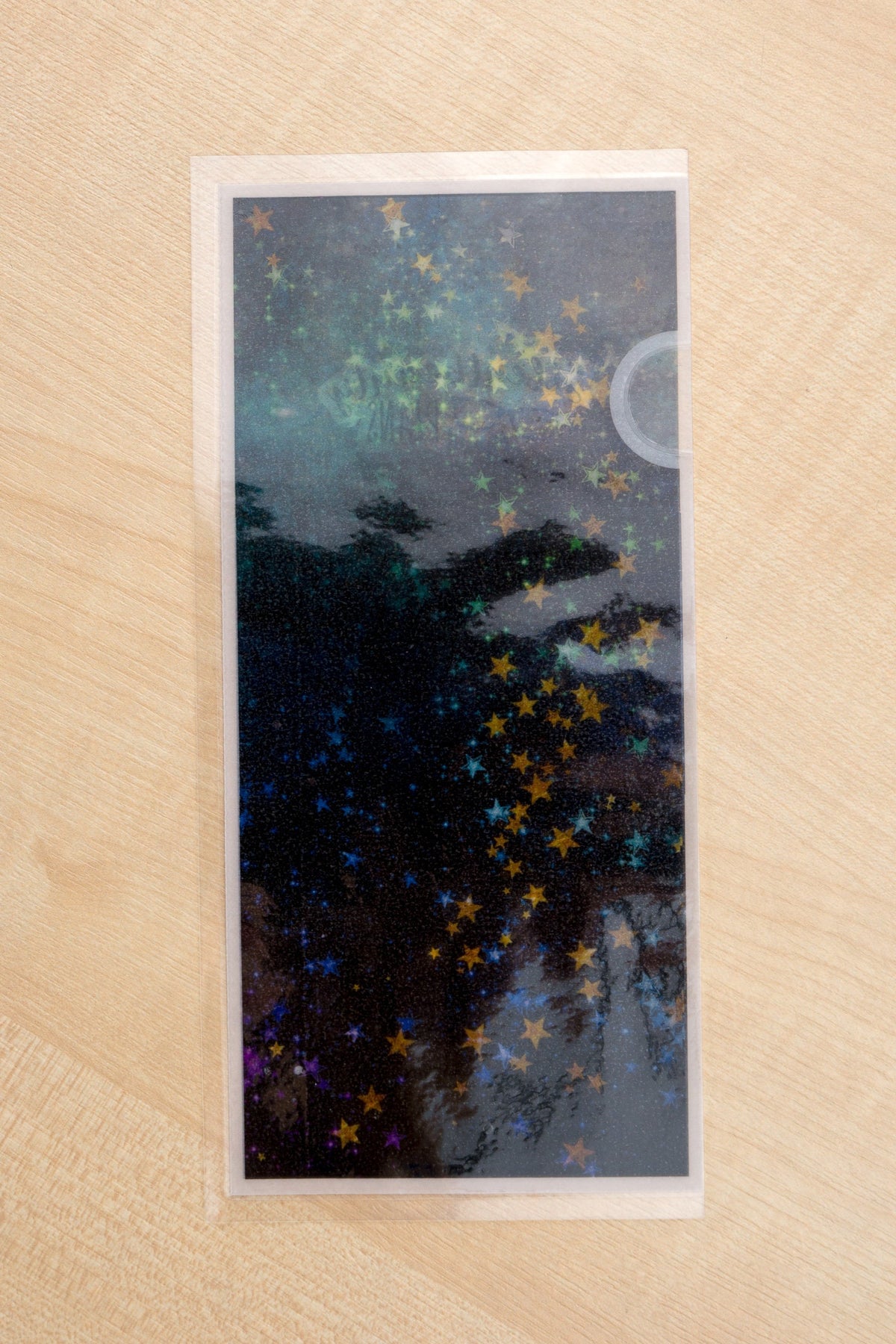 Galaxy Collection Sticker Stash Vellum Pouches | Hobo Weeks Sticker Storage | Silentbeauty Plans | UK