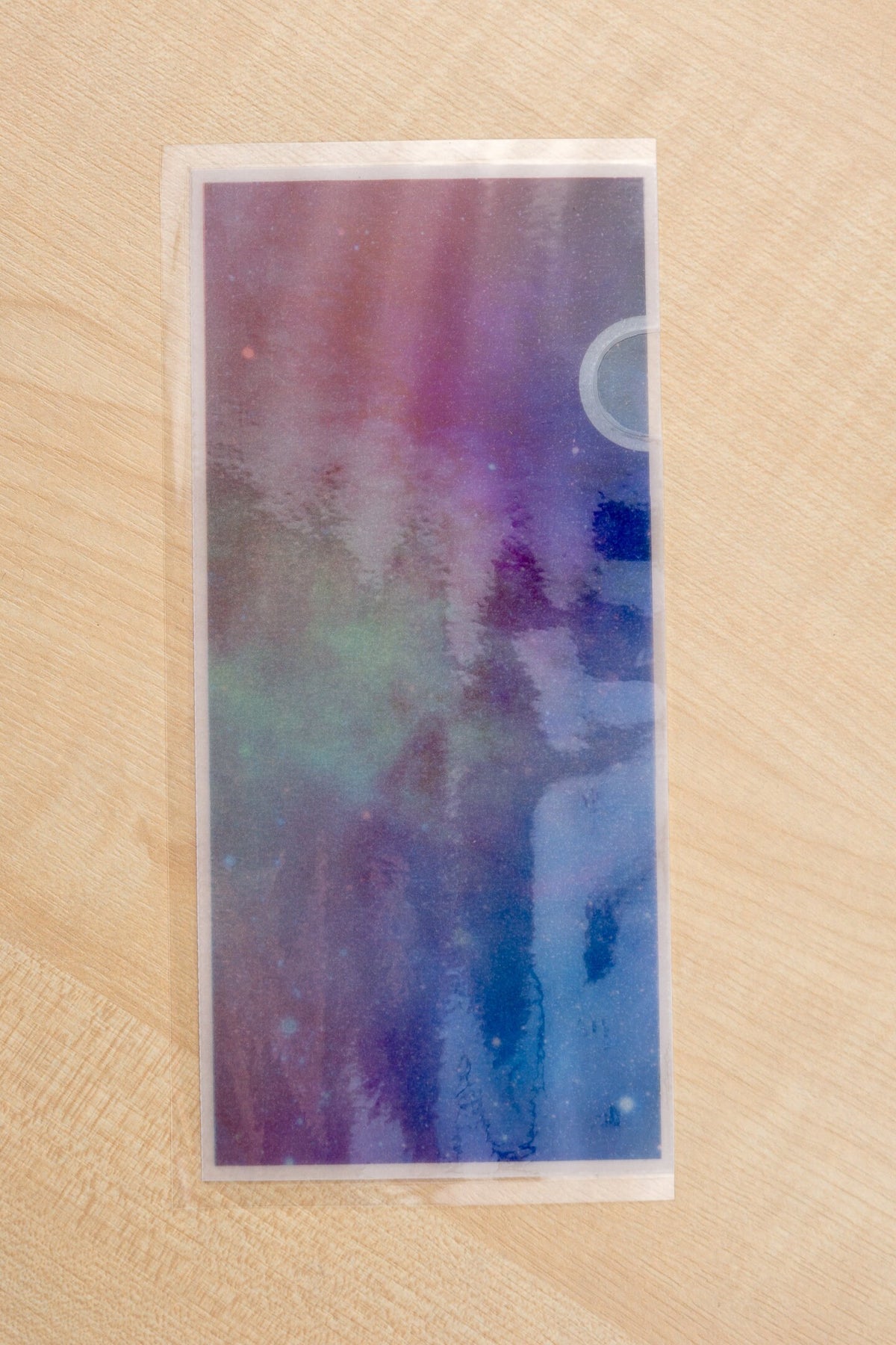 Galaxy Collection Sticker Stash Vellum Pouches | Hobo Weeks Sticker Storage | Silentbeauty Plans | UK
