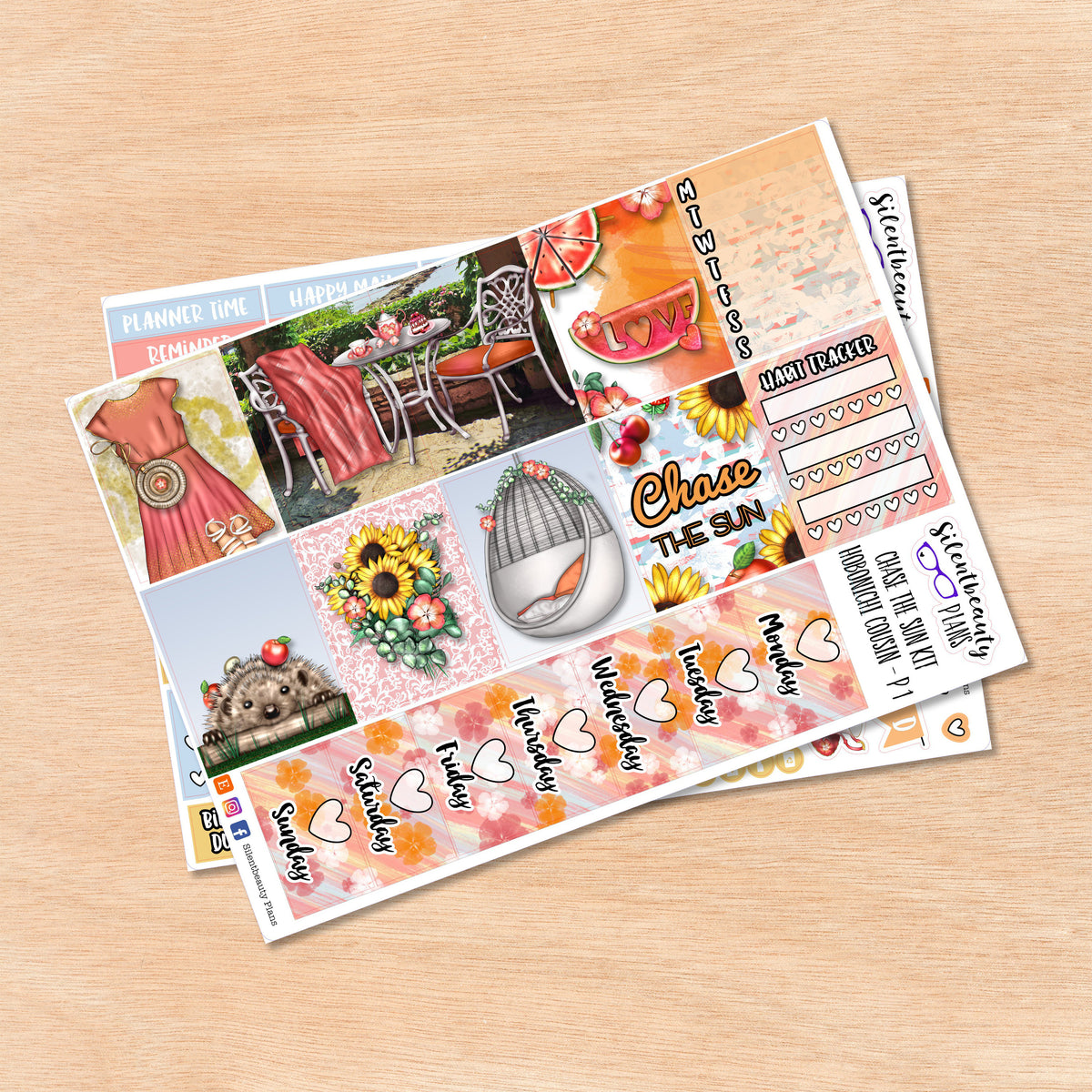 Chase the Sun | Hobonichi Cousin
